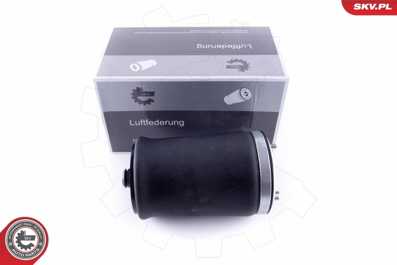 Air Spring, suspension